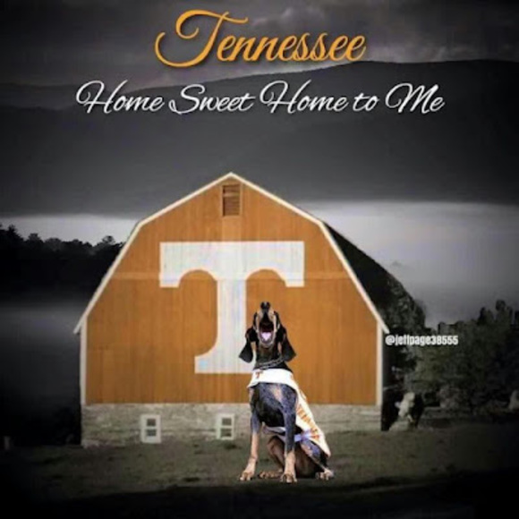 tennvols1213